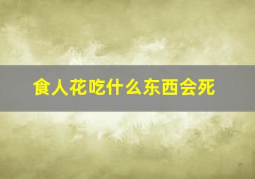 食人花吃什么东西会死