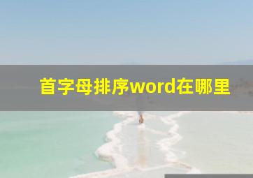 首字母排序word在哪里