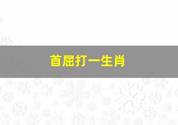 首屈打一生肖