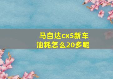 马自达cx5新车油耗怎么20多呢