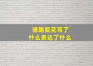 驿路梨花写了什么表达了什么