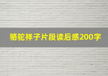 骆驼祥子片段读后感200字