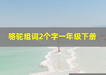 骆驼组词2个字一年级下册