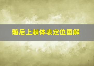 髂后上棘体表定位图解