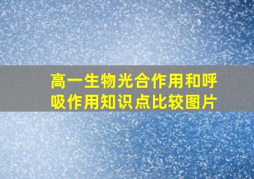 高一生物光合作用和呼吸作用知识点比较图片