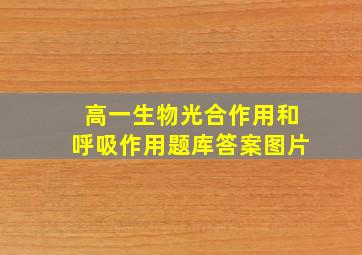 高一生物光合作用和呼吸作用题库答案图片