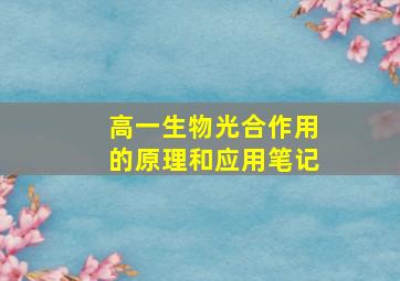 高一生物光合作用的原理和应用笔记