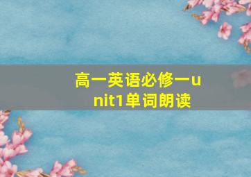 高一英语必修一unit1单词朗读