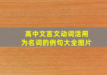 高中文言文动词活用为名词的例句大全图片