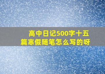 高中日记500字十五篇寒假随笔怎么写的呀