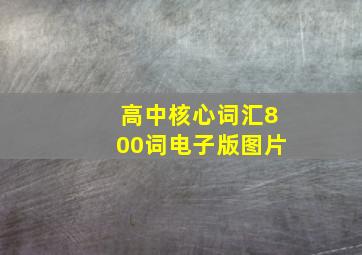 高中核心词汇800词电子版图片