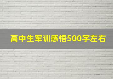 高中生军训感悟500字左右