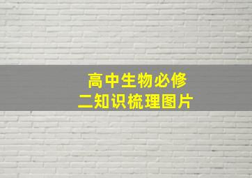 高中生物必修二知识梳理图片