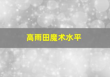 高雨田魔术水平