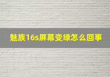 魅族16s屏幕变绿怎么回事