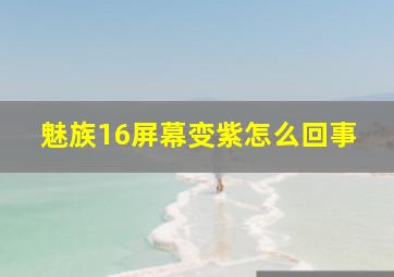 魅族16屏幕变紫怎么回事