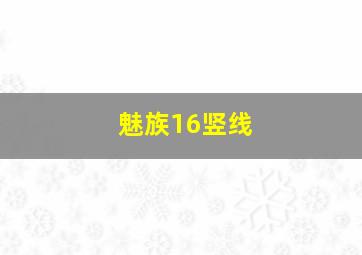 魅族16竖线