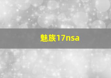 魅族17nsa