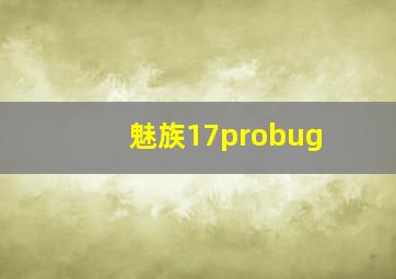 魅族17probug