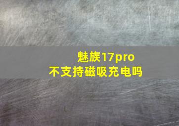 魅族17pro不支持磁吸充电吗