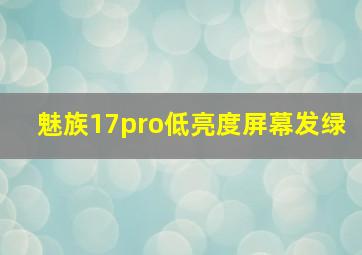 魅族17pro低亮度屏幕发绿