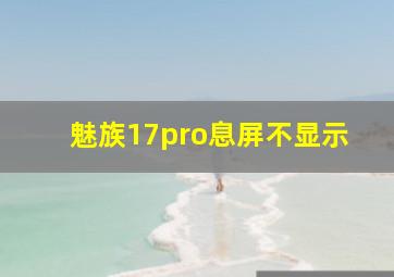 魅族17pro息屏不显示