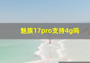 魅族17pro支持4g吗