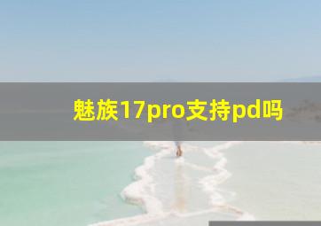 魅族17pro支持pd吗