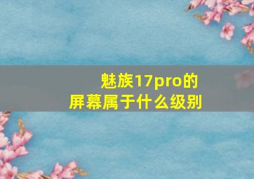 魅族17pro的屏幕属于什么级别