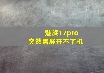 魅族17pro突然黑屏开不了机