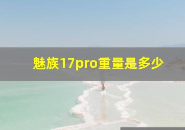 魅族17pro重量是多少