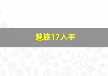 魅族17入手