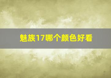 魅族17哪个颜色好看