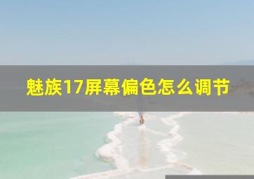 魅族17屏幕偏色怎么调节