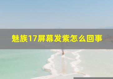 魅族17屏幕发紫怎么回事