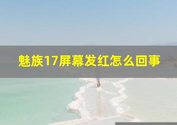 魅族17屏幕发红怎么回事