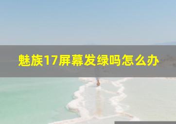 魅族17屏幕发绿吗怎么办