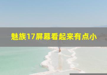 魅族17屏幕看起来有点小