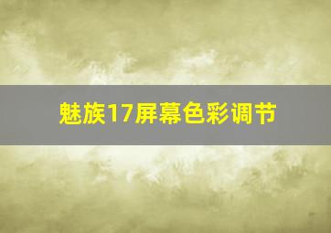 魅族17屏幕色彩调节