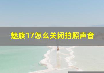 魅族17怎么关闭拍照声音