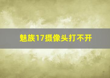 魅族17摄像头打不开