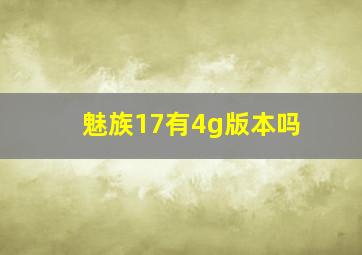 魅族17有4g版本吗