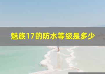 魅族17的防水等级是多少