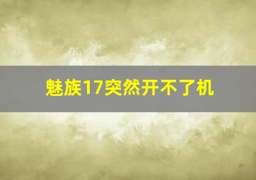 魅族17突然开不了机