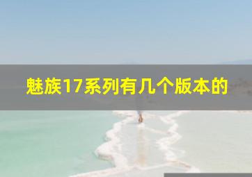 魅族17系列有几个版本的