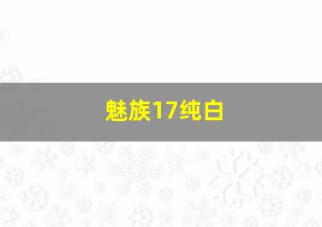 魅族17纯白