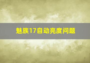 魅族17自动亮度问题