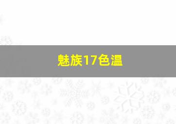 魅族17色温