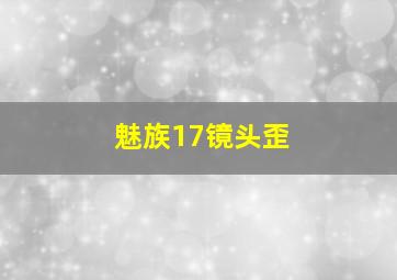 魅族17镜头歪