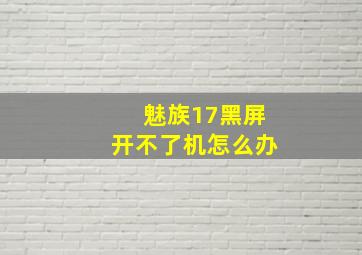 魅族17黑屏开不了机怎么办